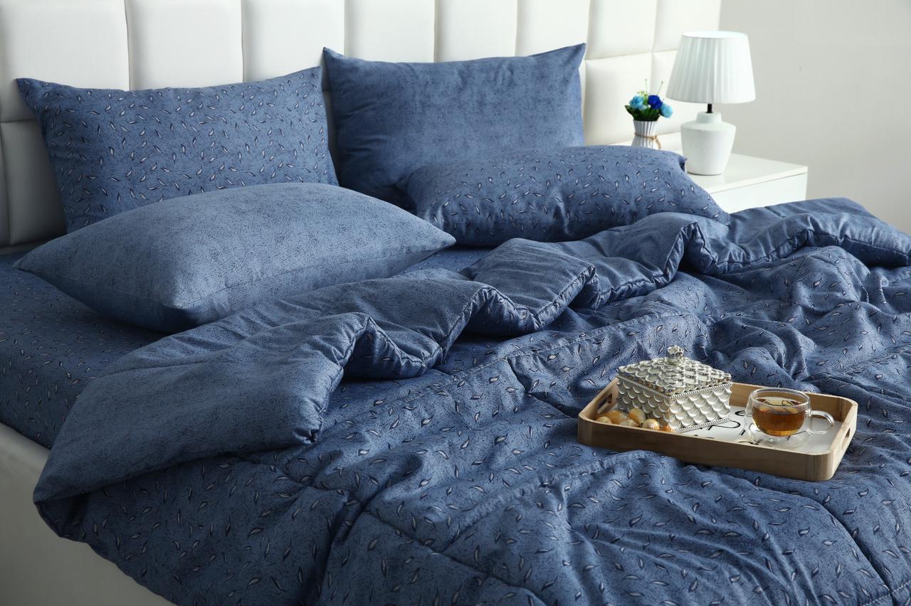 6 PCs Summer Comforter Set-Blue Feathers - Image 6